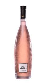Rose 'Furia' Tormaresca-Antinori 2025