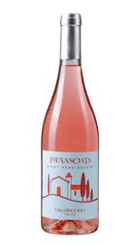 Rose 'Pievasciata' Vallepicciola 2024