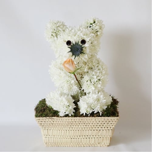 Flower Teddy Bear