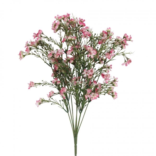 WAX FLOWER 5 STEMS