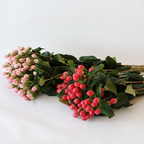 HYPERICUM (Two Bunches Of 5 Stems Each)