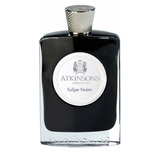 TULIPE NOIR