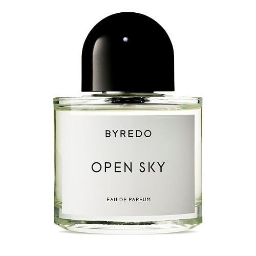 OPEN SKY