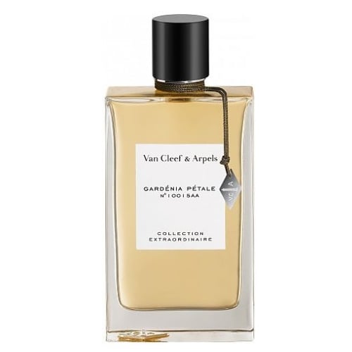 GARDENIA PETALE