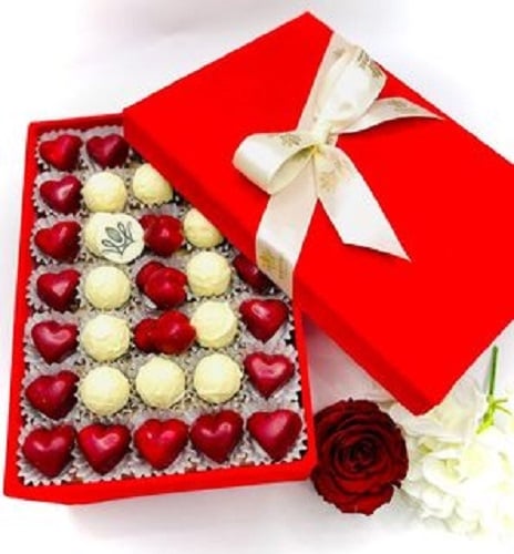 LARGE VELVET BOX