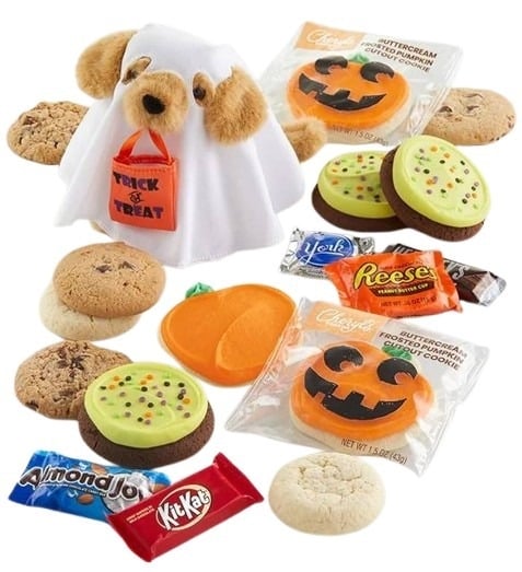 Ghost Puppy Plush & Cookies