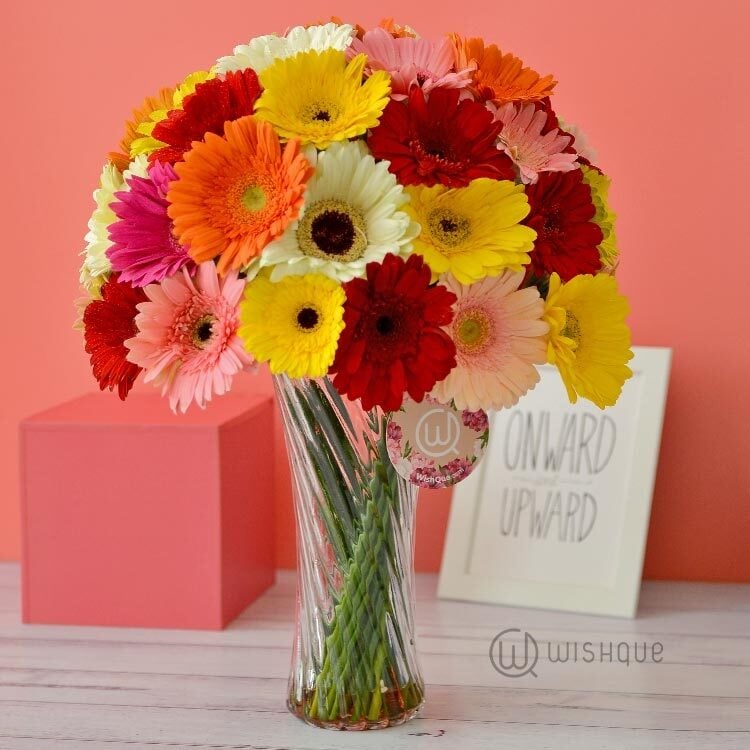 Rainbow Flowers Gerbera Vase