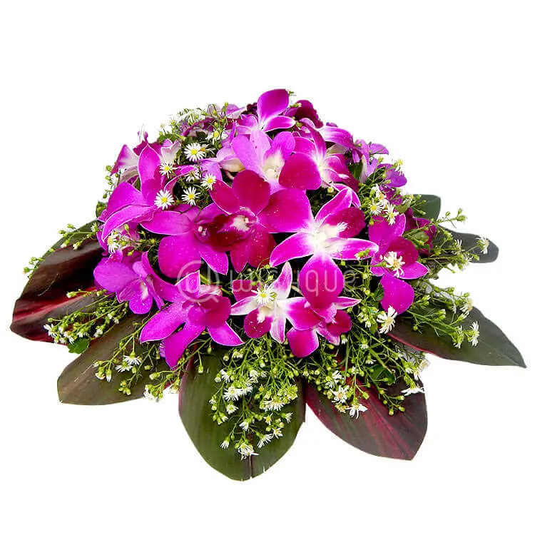 Orchid Coffin Wreath