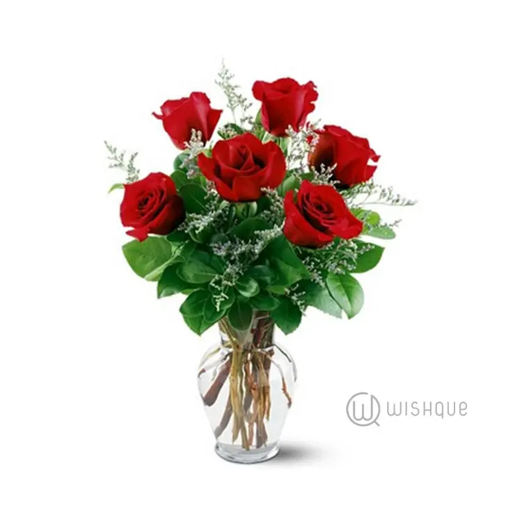 6 Red roses