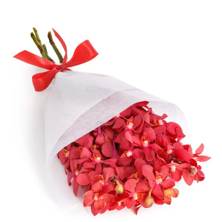 Isla Bouquet