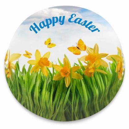 Easter Daffodils Cake (Letterbox gift cake(serves 2-4))