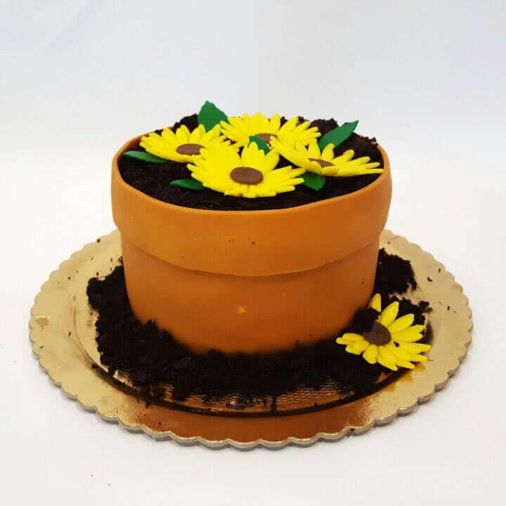 Flower Pot Cake (Eight inch)