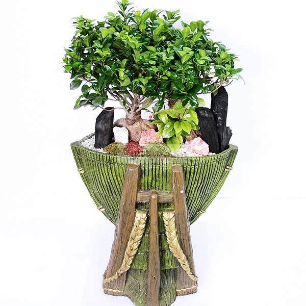Penda jinsaeng-3 (Small)