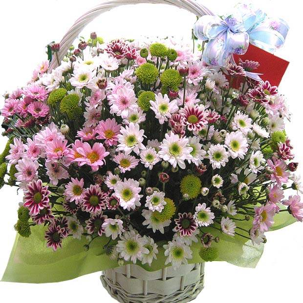basket-16 (Small)