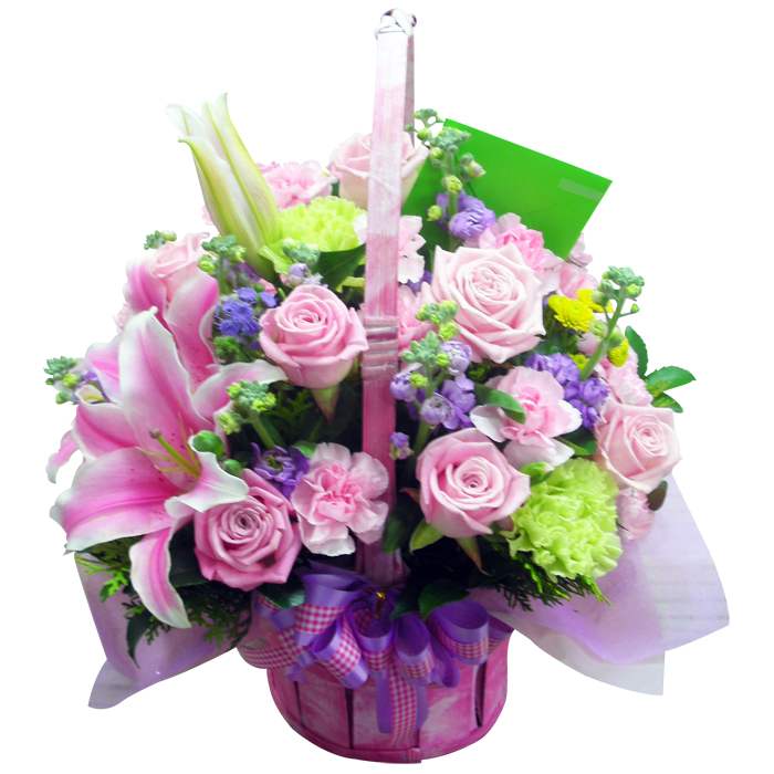 basket-13-6 (Small)