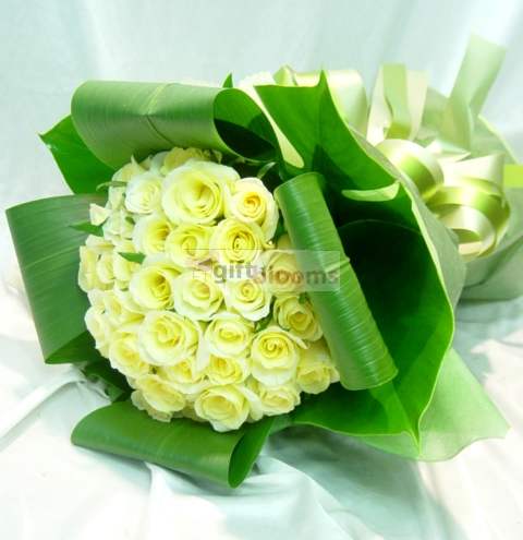Yellow Rose`s Love (Small)