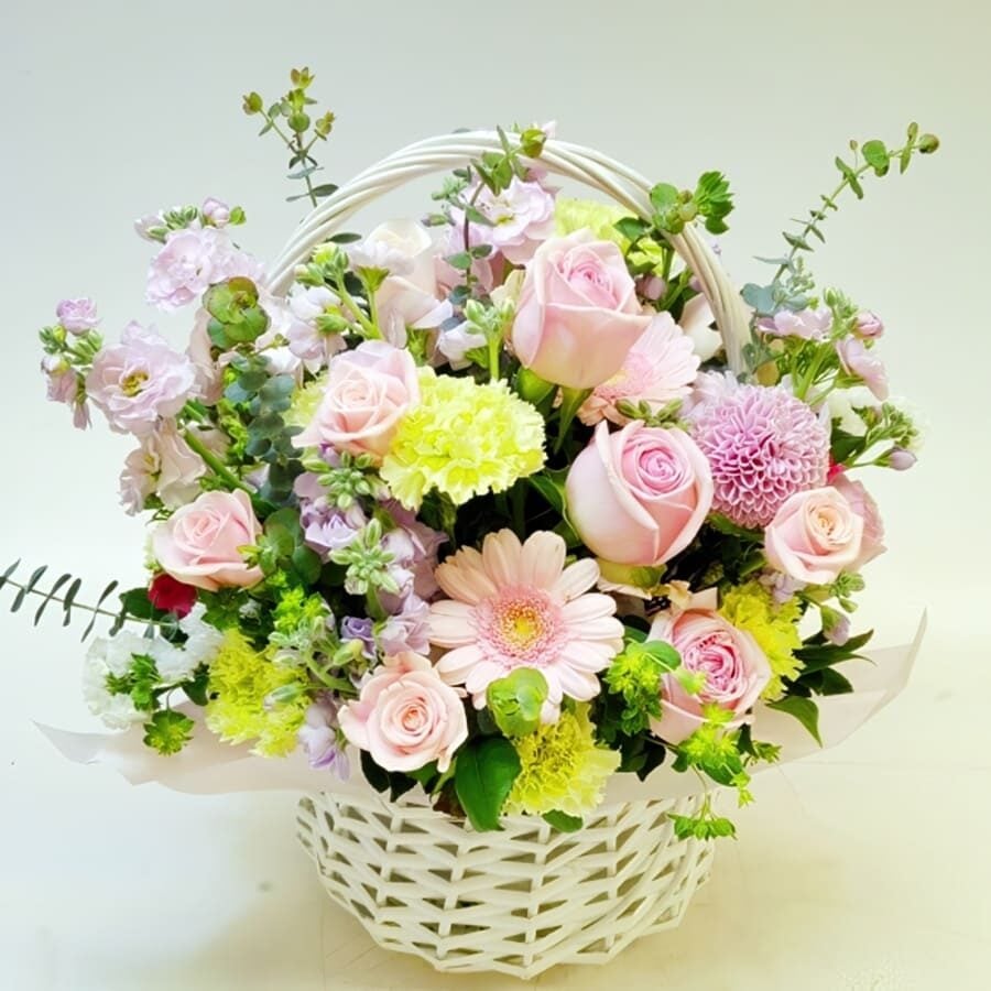 basket18-62 (Standard(S))