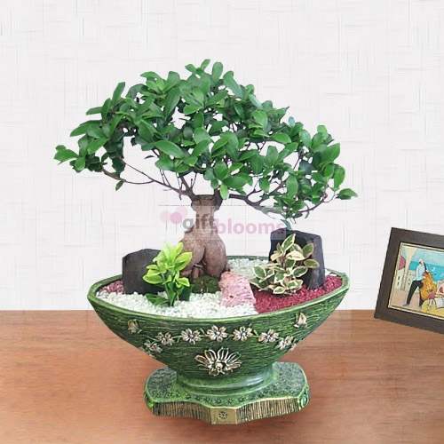 Penda jinsaeng-L (Small)