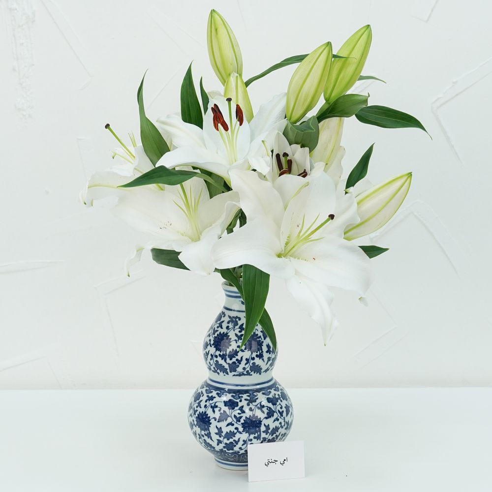 Blue White 7