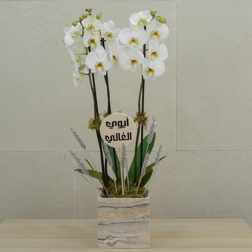 Marble Light 2