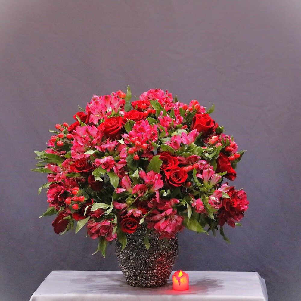 Red Beauty
