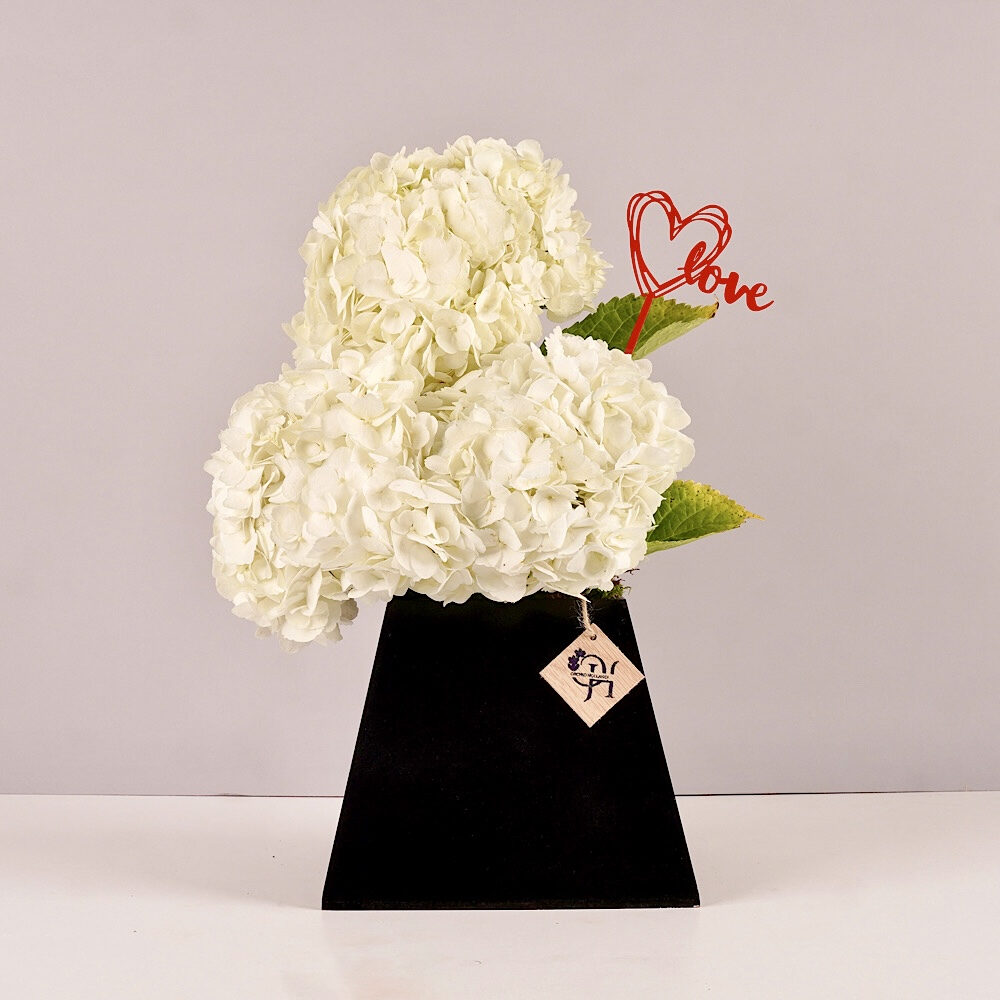 Hydrangea Love
