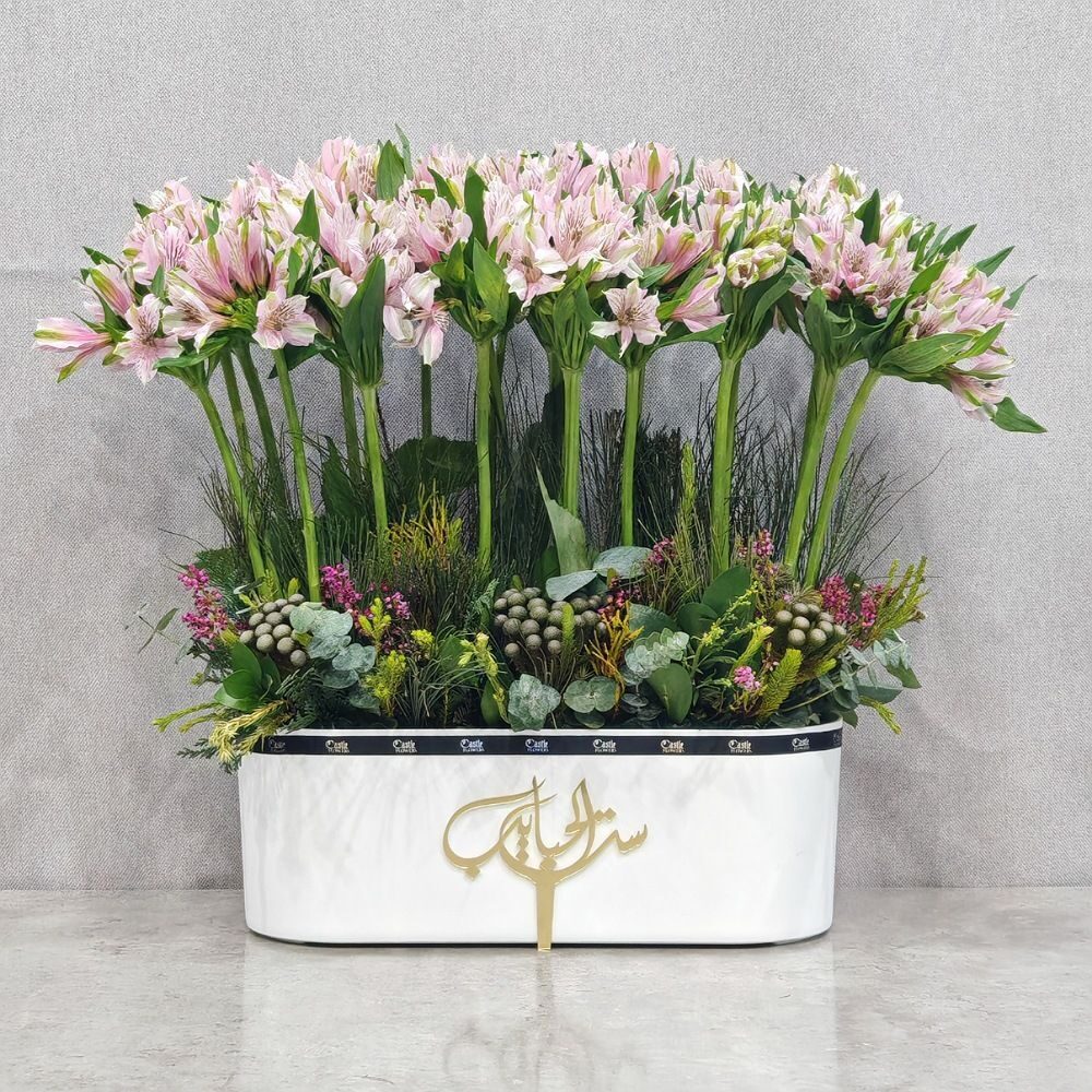 Blooming Alstroemeria