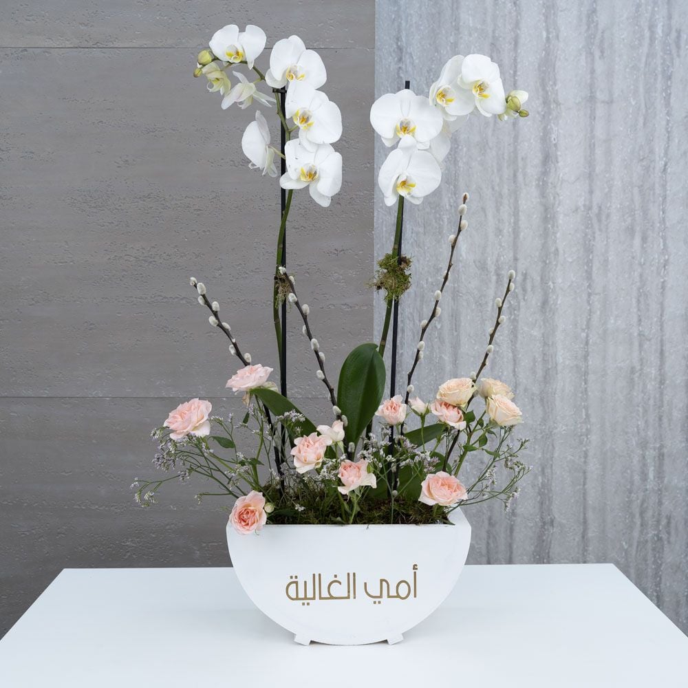 Orchid Glory