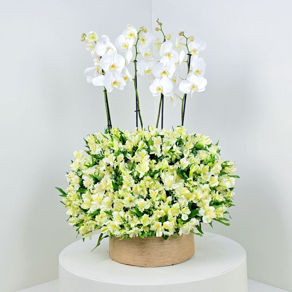 Blooming White