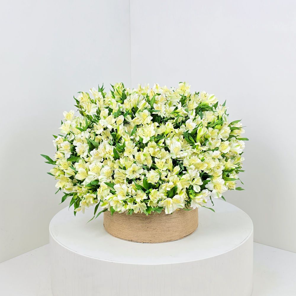 Blooming White 2