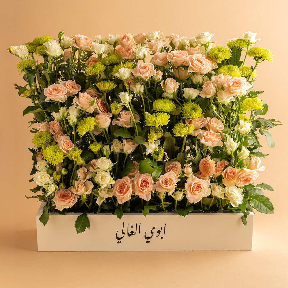 Dear Dad 2