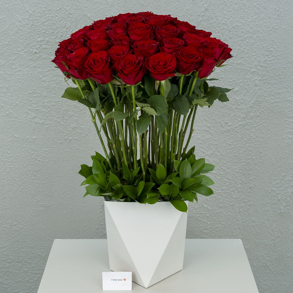 Red 15
