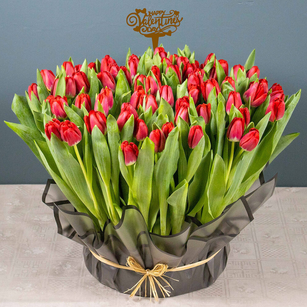 Tulip Beauty