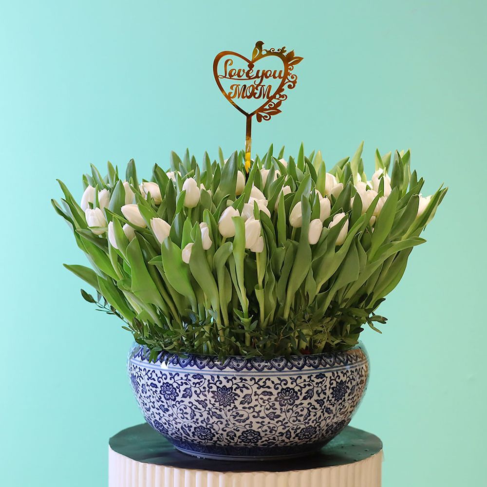 Happy Tulip 3