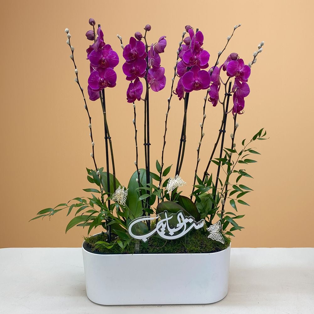 Beautiful Purple
