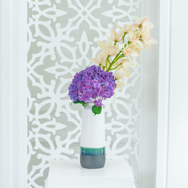 Hydrangea 183