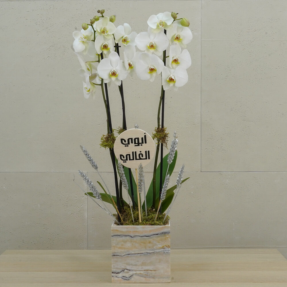 Marble Light 2