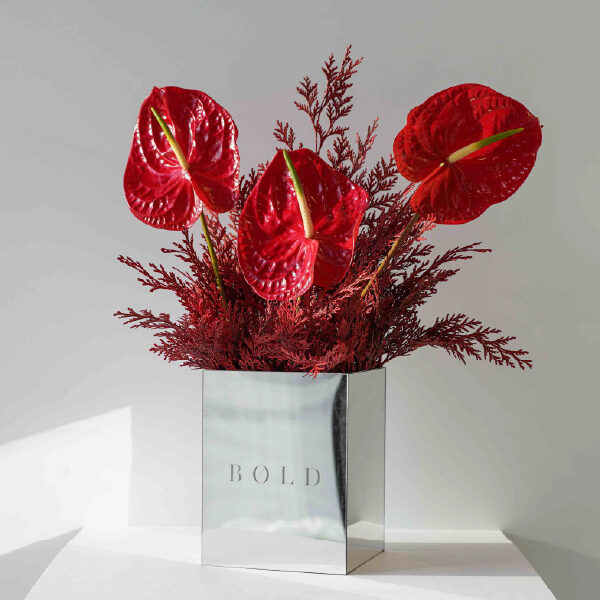 Ruby - Bold