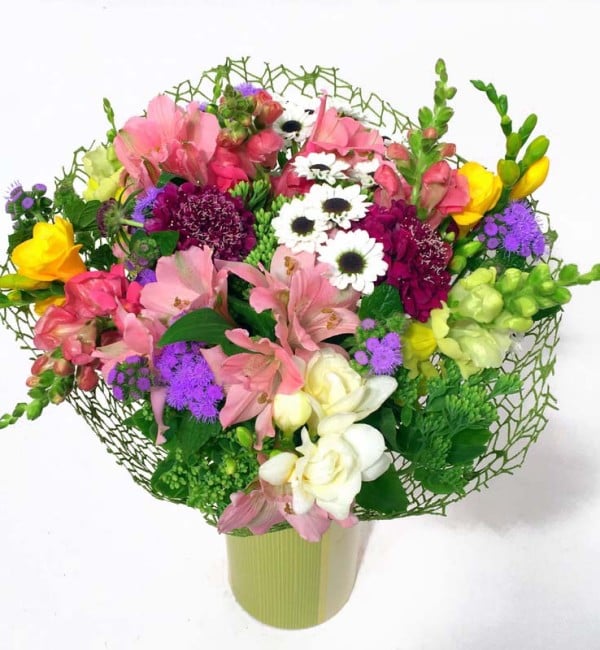 Captured summer-bright seasonal flowers (Premium)