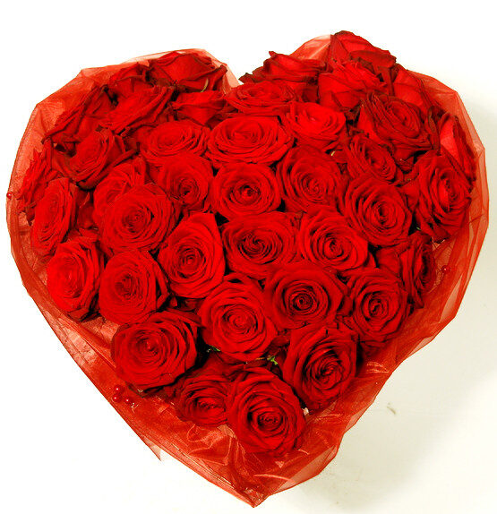 Big heart-shaped arrangement of roses