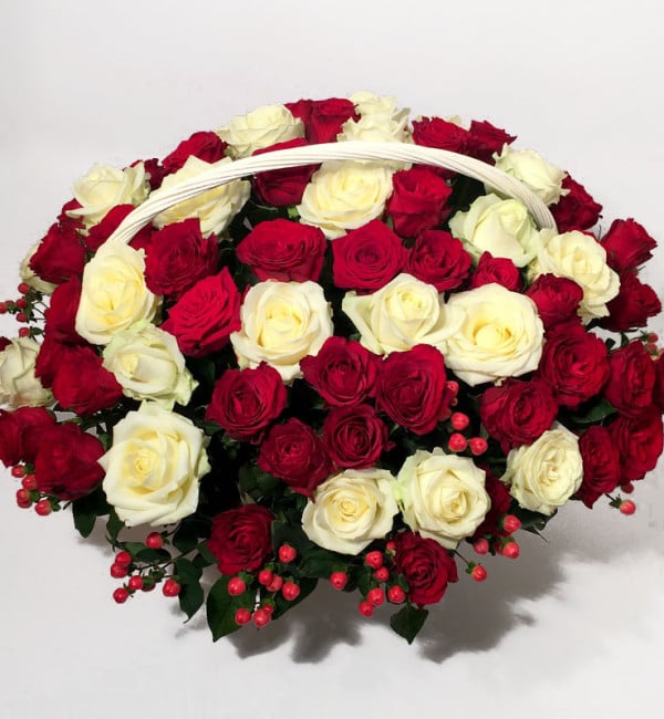 Big flower of white and red roses
