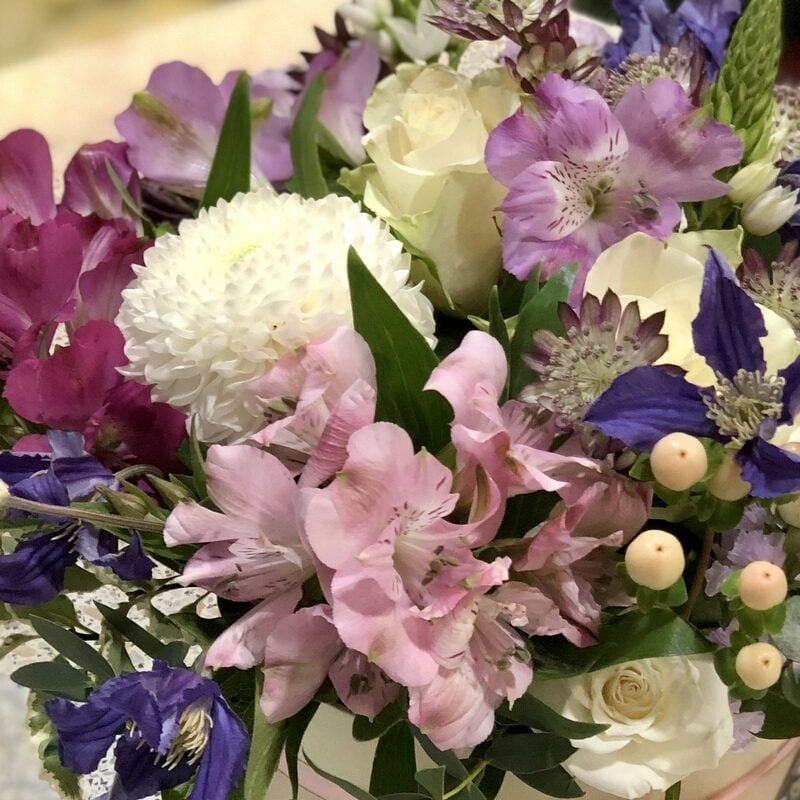 FLORISTS CHOICE (Premium)
