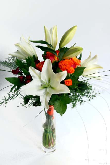 Bunch of oranges and white beans and roses (Premium)