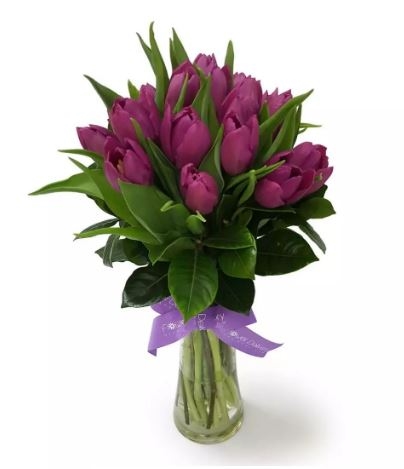 Classic Tulips