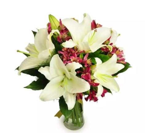 Elegant Lilies