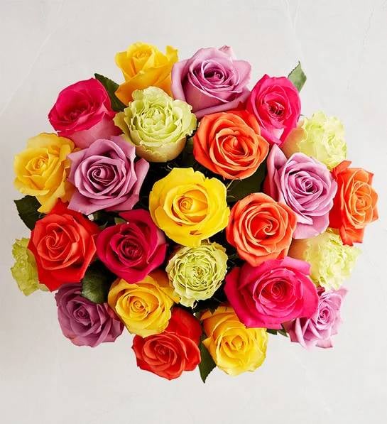 Two Dozen Assorted Roses for Mother's Day (Bouquet Only)