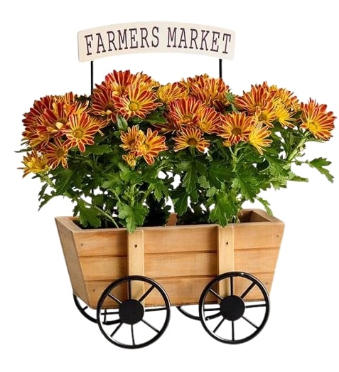 Farmers Market Mum