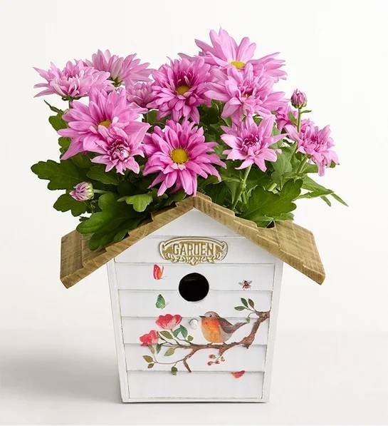 Birdhouse of Blooms (Birdhouse of Blooms)
