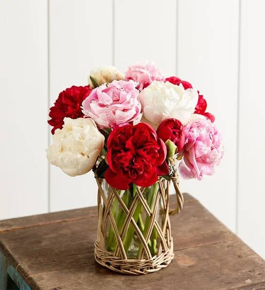 Red, White & Pink Peony Bouquet (10 Stems with Wicker Vase)