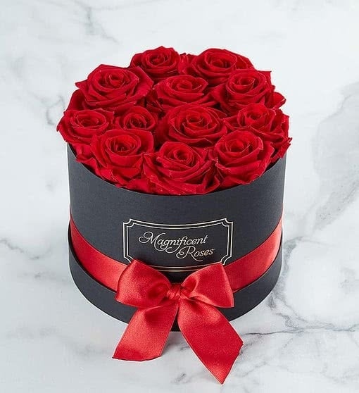 Magnificent Roses Preserved Red Roses (One Dozen Red)